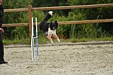 zomer wedstrijd someren zondag