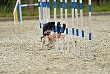 zomer wedstrijd someren zondag