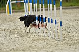 zomer wedstrijd someren zondag