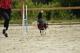 zomer wedstrijd someren zondag