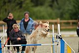 zomer wedstrijd someren zondag