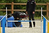 zomer wedstrijd someren zondag
