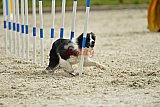zomer wedstrijd someren zondag