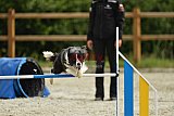 zomer wedstrijd someren zondag