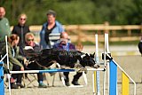 zomer wedstrijd someren zondag