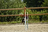 zomer wedstrijd someren zondag