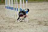 zomer wedstrijd someren zondag