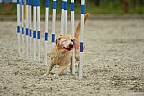 zomer wedstrijd someren zondag