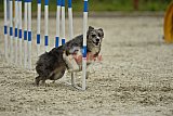 zomer wedstrijd someren zondag