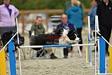 zomer wedstrijd someren zondag