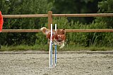 zomer wedstrijd someren zondag