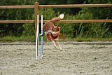 zomer wedstrijd someren zondag