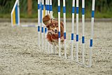 zomer wedstrijd someren zondag