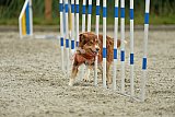 zomer wedstrijd someren zondag