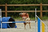 zomer wedstrijd someren zondag