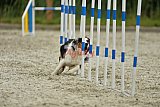 zomer wedstrijd someren zondag
