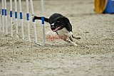 zomer wedstrijd someren zondag