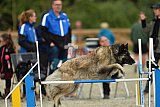 zomer wedstrijd someren zondag