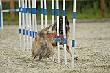 zomer wedstrijd someren zondag