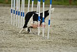 zomer wedstrijd someren zondag