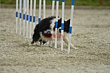 zomer wedstrijd someren zondag