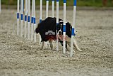 zomer wedstrijd someren zondag