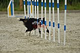 zomer wedstrijd someren zondag