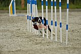 zomer wedstrijd someren zondag