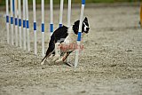 zomer wedstrijd someren zondag