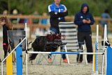 zomer wedstrijd someren zondag