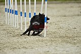 zomer wedstrijd someren zondag