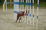 zomer wedstrijd someren zondag