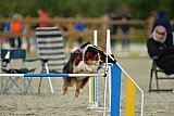 zomer wedstrijd someren zondag
