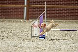 zomer wedstrijd someren zondag