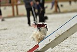 zomer wedstrijd someren zondag