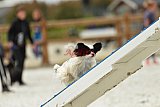 zomer wedstrijd someren zondag