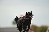 zomer wedstrijd someren zondag
