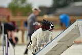 zomer wedstrijd someren zondag