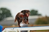 zomer wedstrijd someren zondag