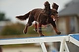 zomer wedstrijd someren zondag