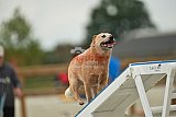 zomer wedstrijd someren zondag