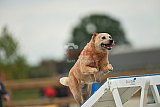 zomer wedstrijd someren zondag