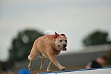 zomer wedstrijd someren zondag