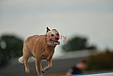 zomer wedstrijd someren zondag
