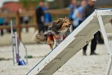 zomer wedstrijd someren zondag