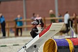 zomer wedstrijd someren zondag