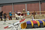 zomer wedstrijd someren zondag