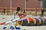 zomer wedstrijd someren zondag