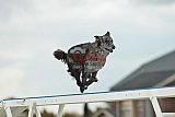zomer wedstrijd someren zondag