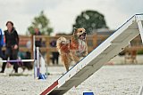 zomer wedstrijd someren zondag